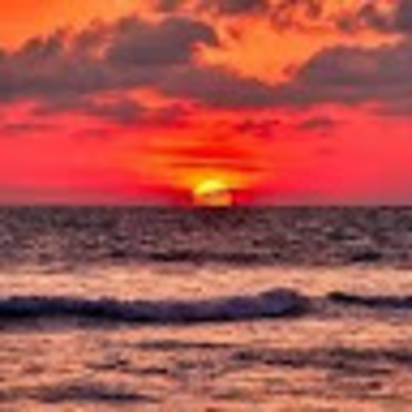 Meet your Posher, Josie - Picture 1 of 1